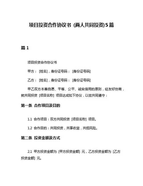 项目投资合作协议书 (两人共同投资)5篇