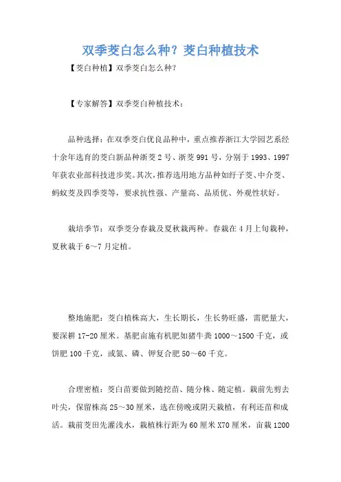 双季茭白怎么种？茭白种植技术