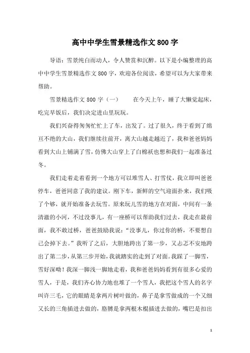 高中中学生雪景精选作文800字