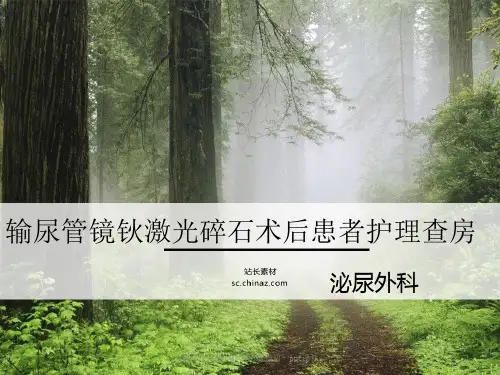 输尿管钬激光碎石护理查房 ppt课件