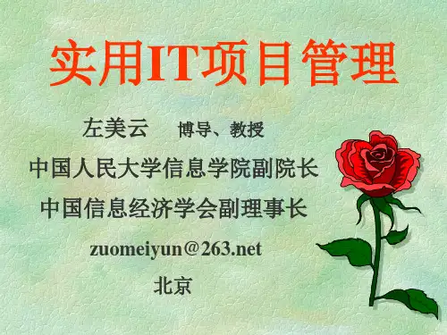 实用项目管理(2天学员版)