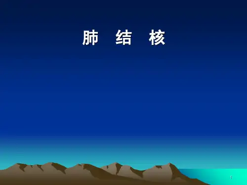 肺结核PPT课件