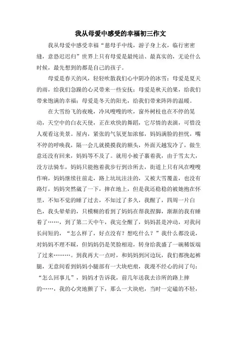 我从母爱中感受的幸福初三作文