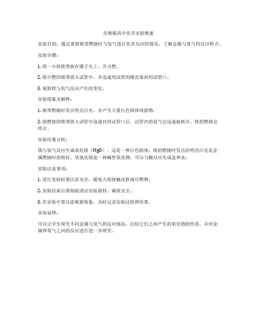 苏教版高中化学实验教案