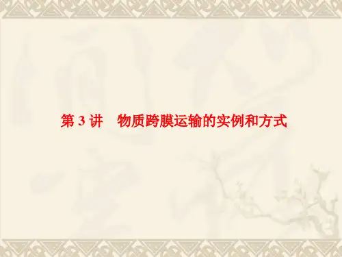 高中生物人教版必修一第四章PPT 课件