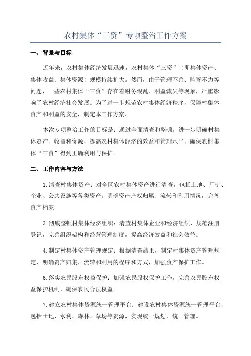 农村集体“三资”专项整治工作方案