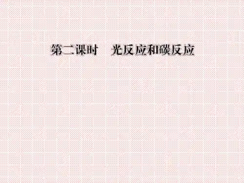 3.5.2光反应和碳反应课件(浙科版必修1)