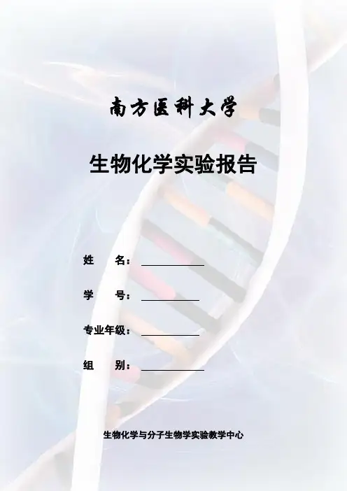 质粒DNA测定