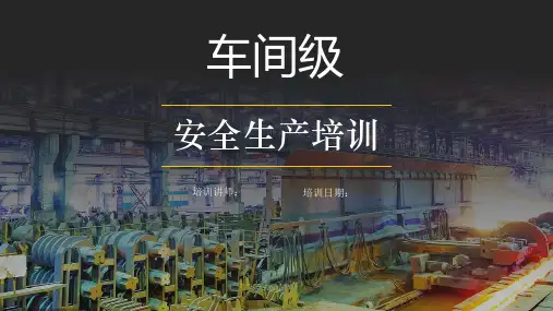 车间级安全生产培训课件PPT课件