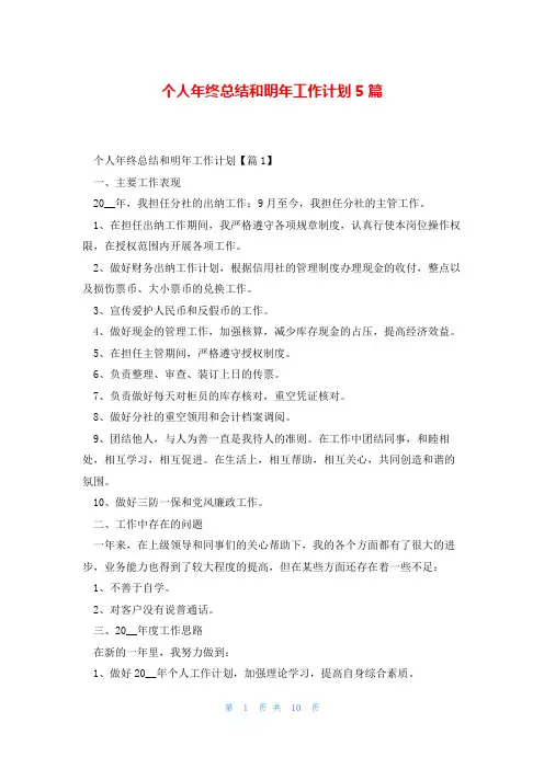 个人年终总结和明年工作计划5篇