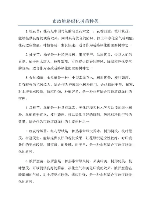市政道路绿化树苗种类