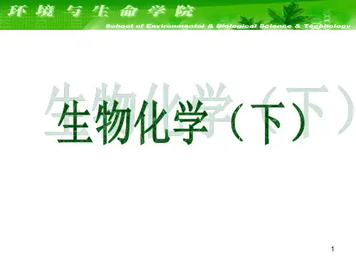 大连理工大学生物化学课件--代谢总论
