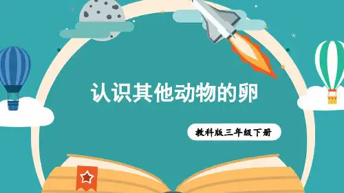 认识其他动物的卵小学科学三年级下册PPT课件