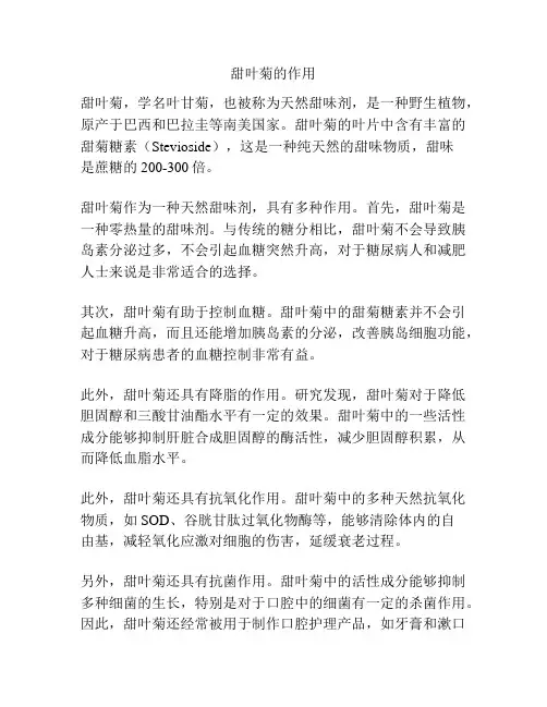 甜叶菊的作用