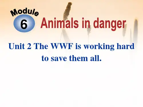 《The WWF is working hard to save them all》Animals 