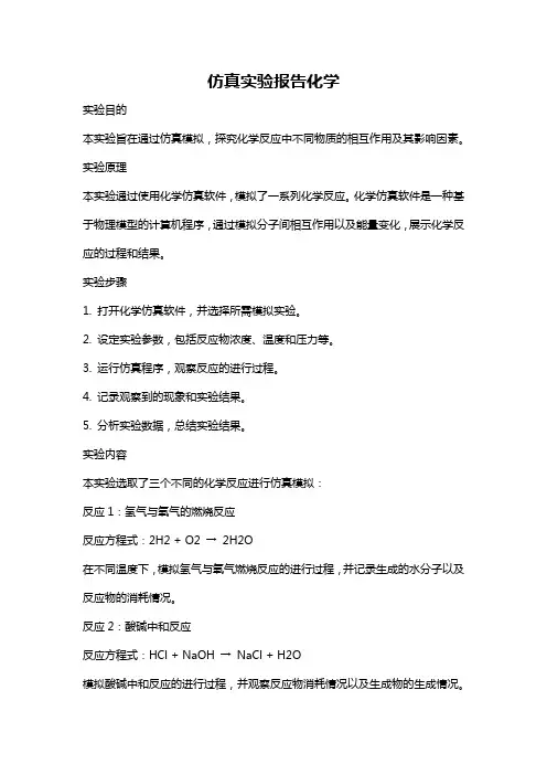 仿真实验报告化学