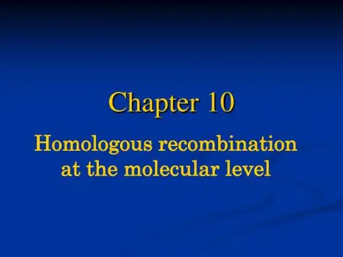 《分子生物学》5 chapter 10-40页PPT文档资料