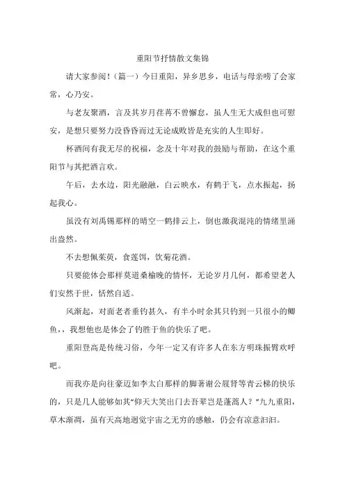 重阳节抒情散文集锦