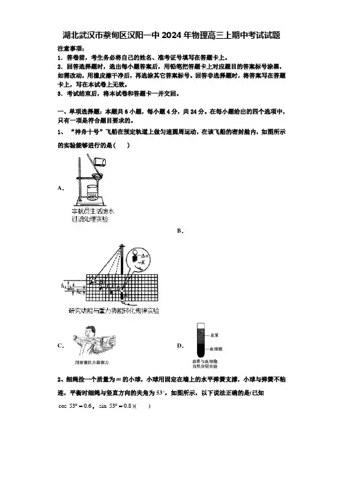 湖北武汉市蔡甸区汉阳一中2024年物理高三上期中考试试题含解析