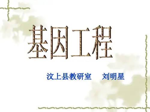 人教版生物必修二《6.2 基因工程》课件 (共56张PPT)