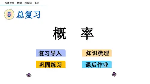 西师大数学六下课件-概率