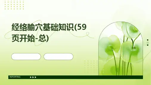 经络腧穴基础知识(59页开始-总)