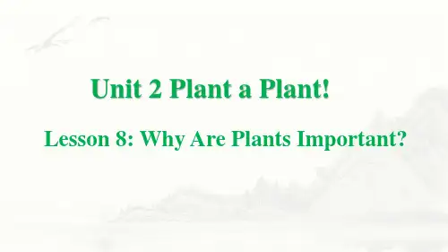 冀教版八年级下册PlantaPlantLesson8WhyArePlantsImportant？课件