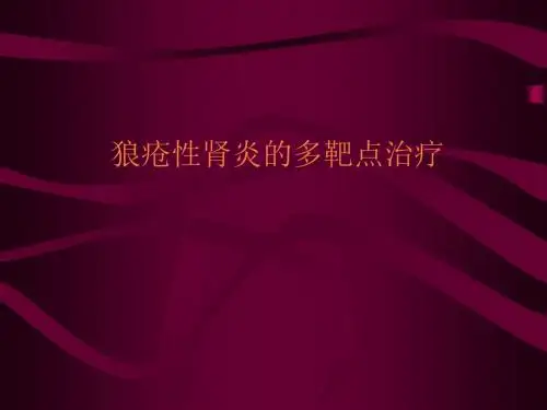 狼疮性肾炎的治疗PPT课件