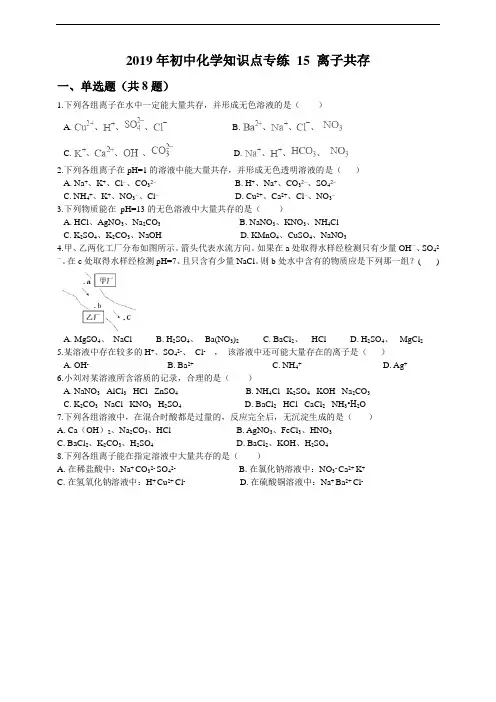 初中化学知识点专练 15 离子共存