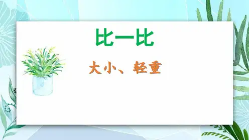 小学数学《大小、轻重》比一比PPT教学课件