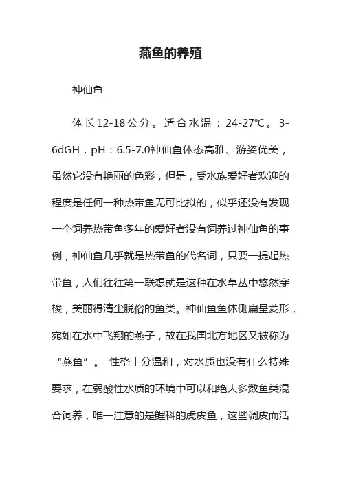 燕鱼的养殖