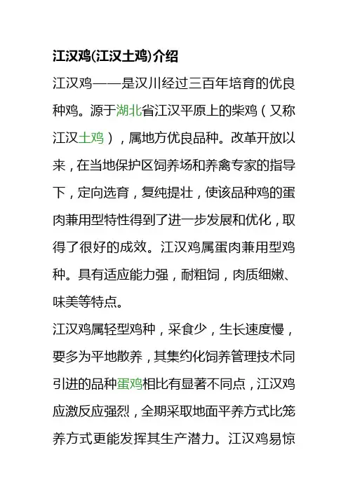 江汉鸡(江汉土鸡)介绍
