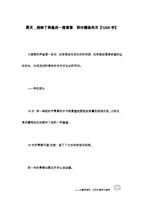 夏天,纯粹了我最后一尾青春  初中精选作文【1200字】