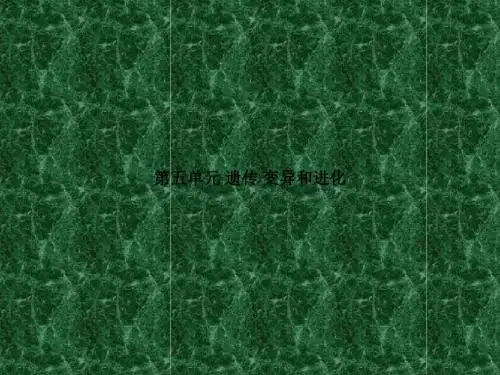 2011年高考生物一轮复习精品课件5-1-1DNA是主要的遗传物质
