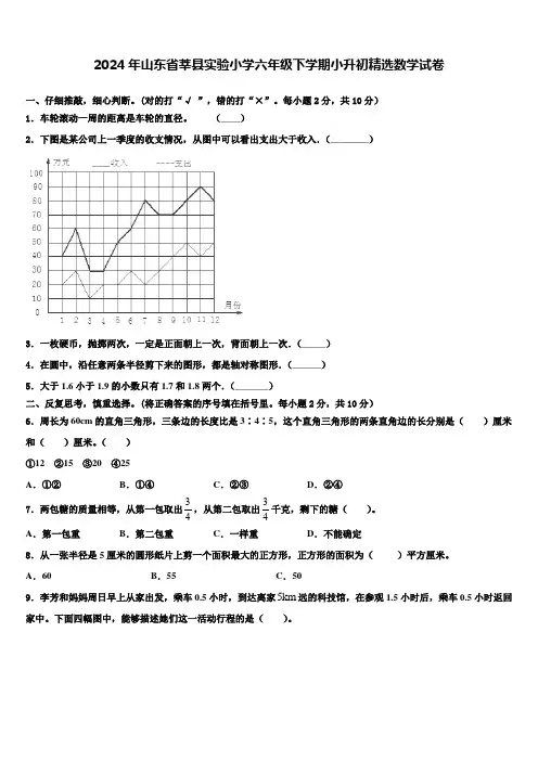2024年山东省莘县实验小学六年级下学期小升初数学试卷含解析