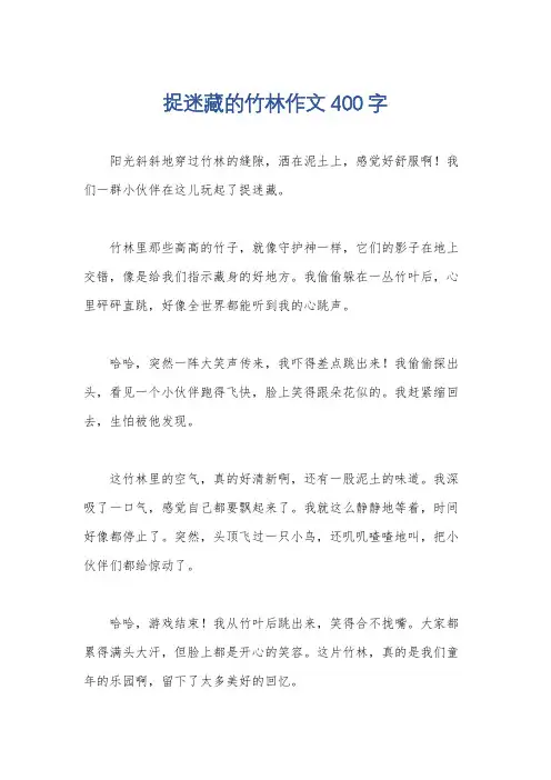 捉迷藏的竹林作文400字