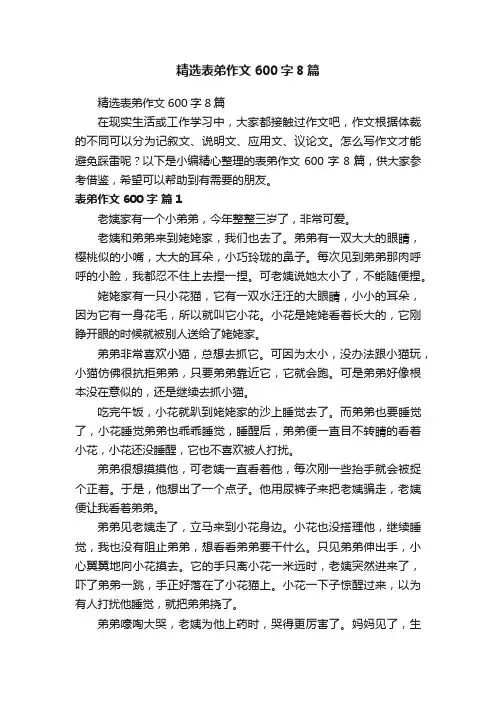 精选表弟作文600字8篇