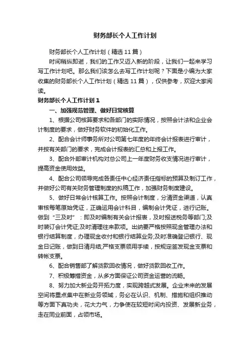 财务部长个人工作计划