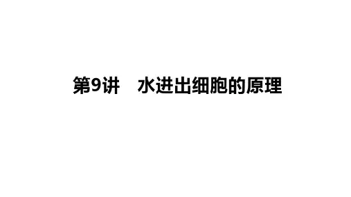 高三生物一轮复习课件第9课时水进出细胞的原理