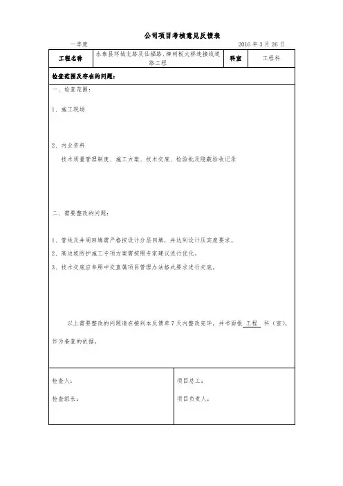 分公司项目考核意见反馈表及回复单样表