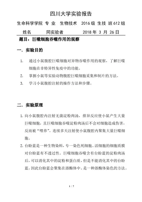 巨噬细胞吞噬作用的观察 细胞学实验报告