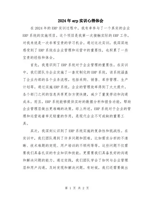 2024年erp实训心得体会