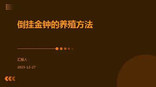 倒挂金钟的养殖方法