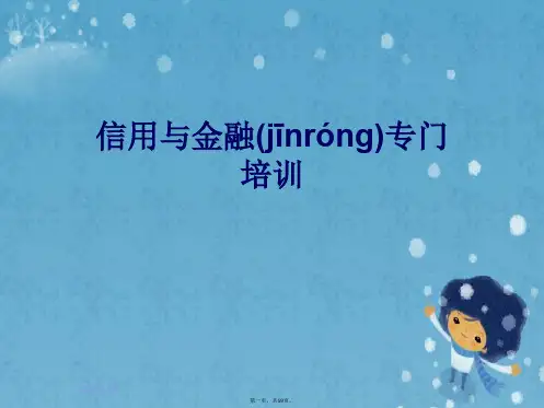 信用与金融专门培训