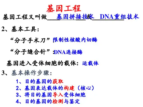 高中生物选修3专题复习PPT课件