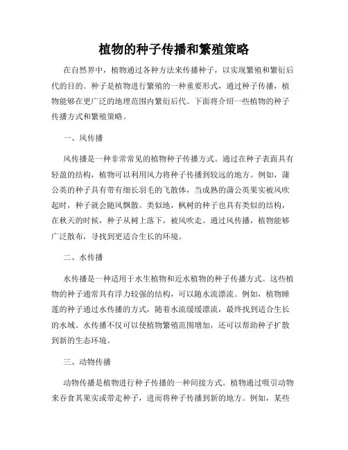 植物的种子传播和繁殖策略