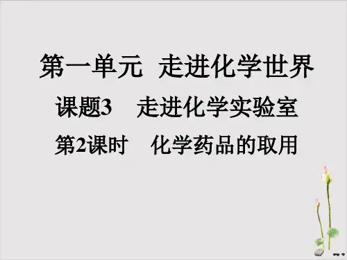 第一单元课题3第2课时化学药品的取用知识点强化训练-九年级化学人教版上册
