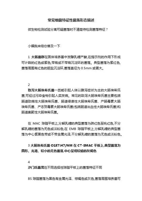常见细菌特征性菌落形态描述