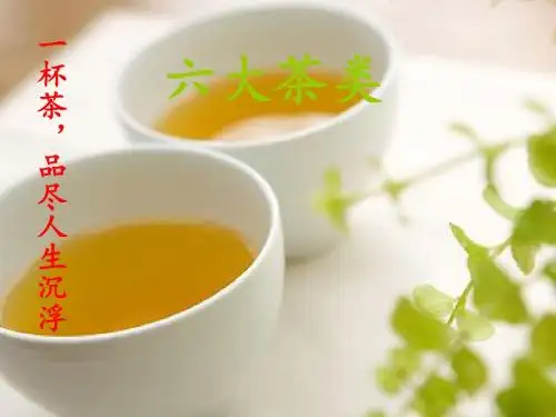 安徽霍山黄芽