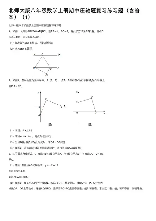 北师大版八年级数学上册期中压轴题复习练习题（含答案）（1）
